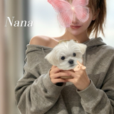 3M〜3Day'sメンズエステホームページ立ち上げプロジェクト〜