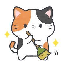 ✨整理整頓・くまなく掃除🧹メイン画像
