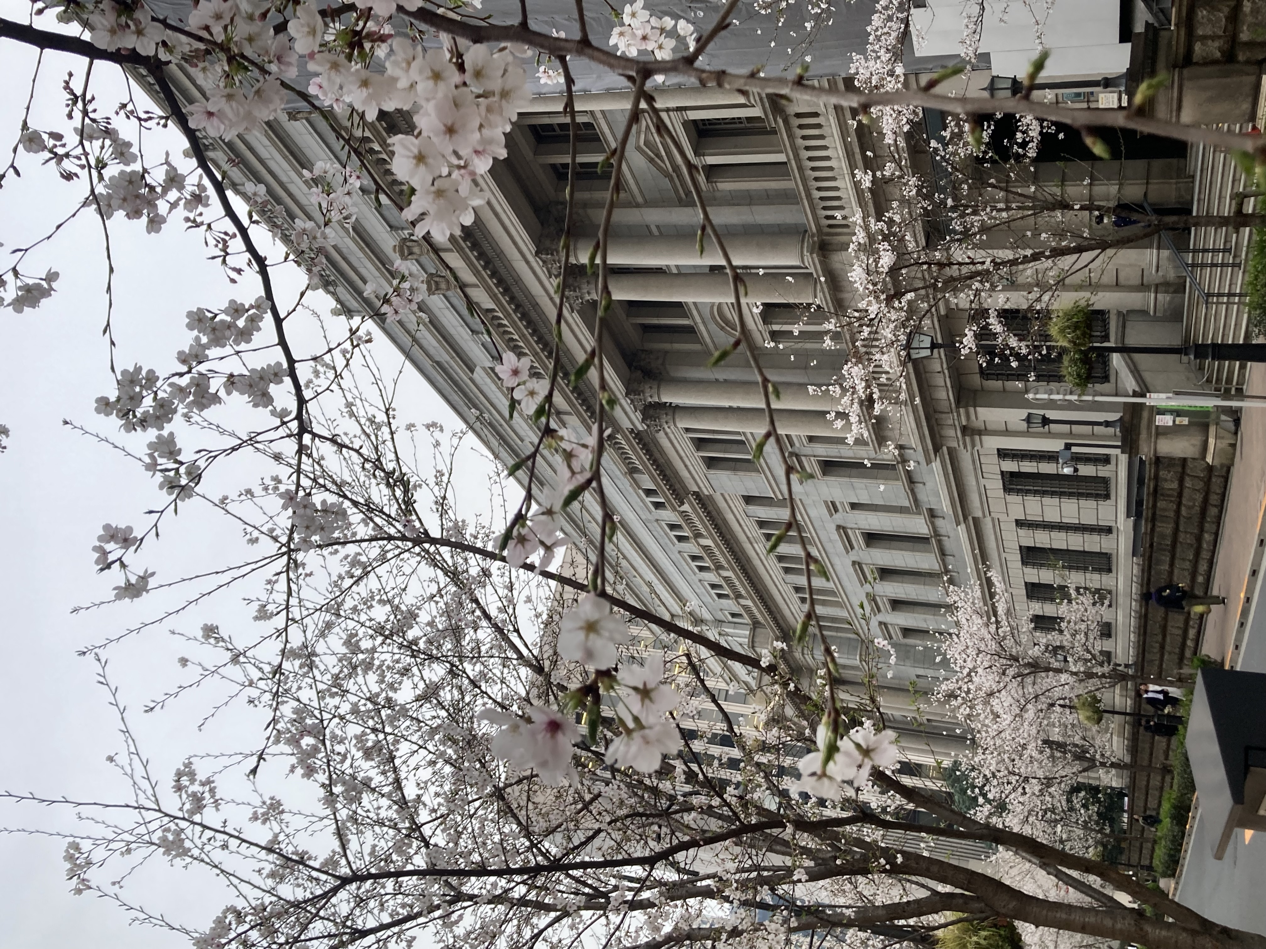 3月のお礼メイン画像