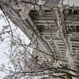 メンズエステブログ - 3月のお礼